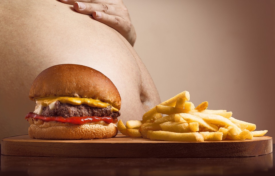 hamburger-2683042_960_720